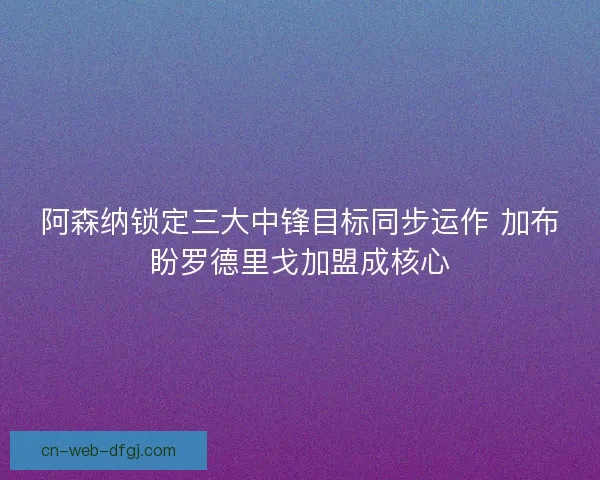 阿森纳锁定三大中锋目标同步运作 加布盼罗德里戈加盟成核心